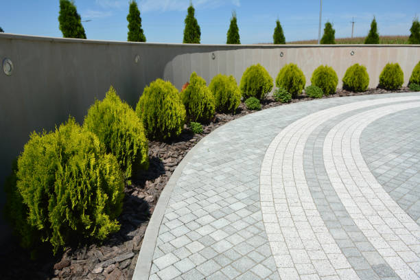 Best Professional Driveway Pavers  in Lyndon, KS